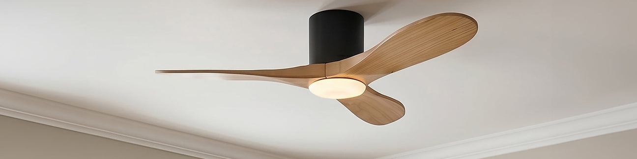 Indoor Ceiling Fans