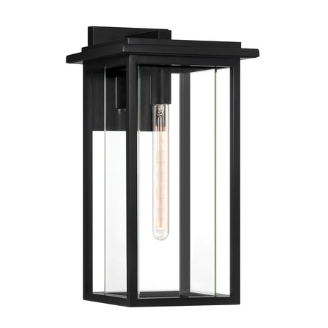 Colin Outdoor Wall Light, Large 19", Black