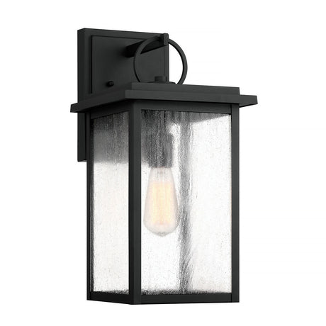 Paterson Outdoor Wall Light, Large 18", Black and Seeded Glass