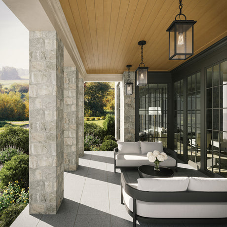 Paterson Outdoor Hanging Light, Medium 15", Black and Seeded Glass