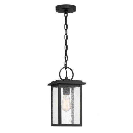 Paterson Outdoor Hanging Light, Medium 15", Black and Seeded Glass