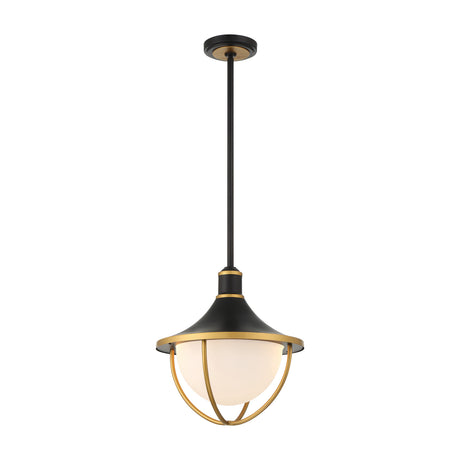 Tobin Outdoor Pendant Light 16", Black and Textured Gold
