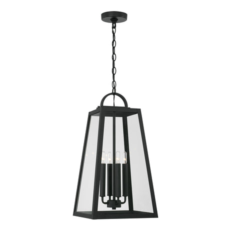 Alden Outdoor Hanging Light, Black