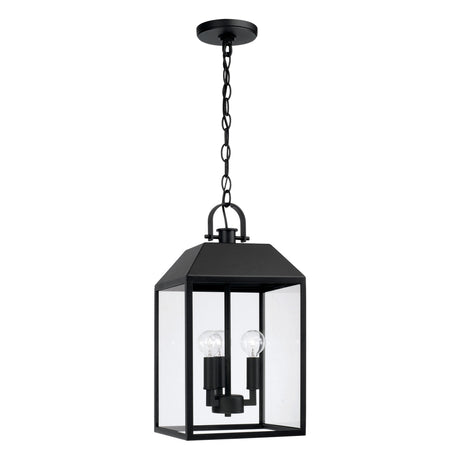 Porter Outdoor Hanging Light, Black